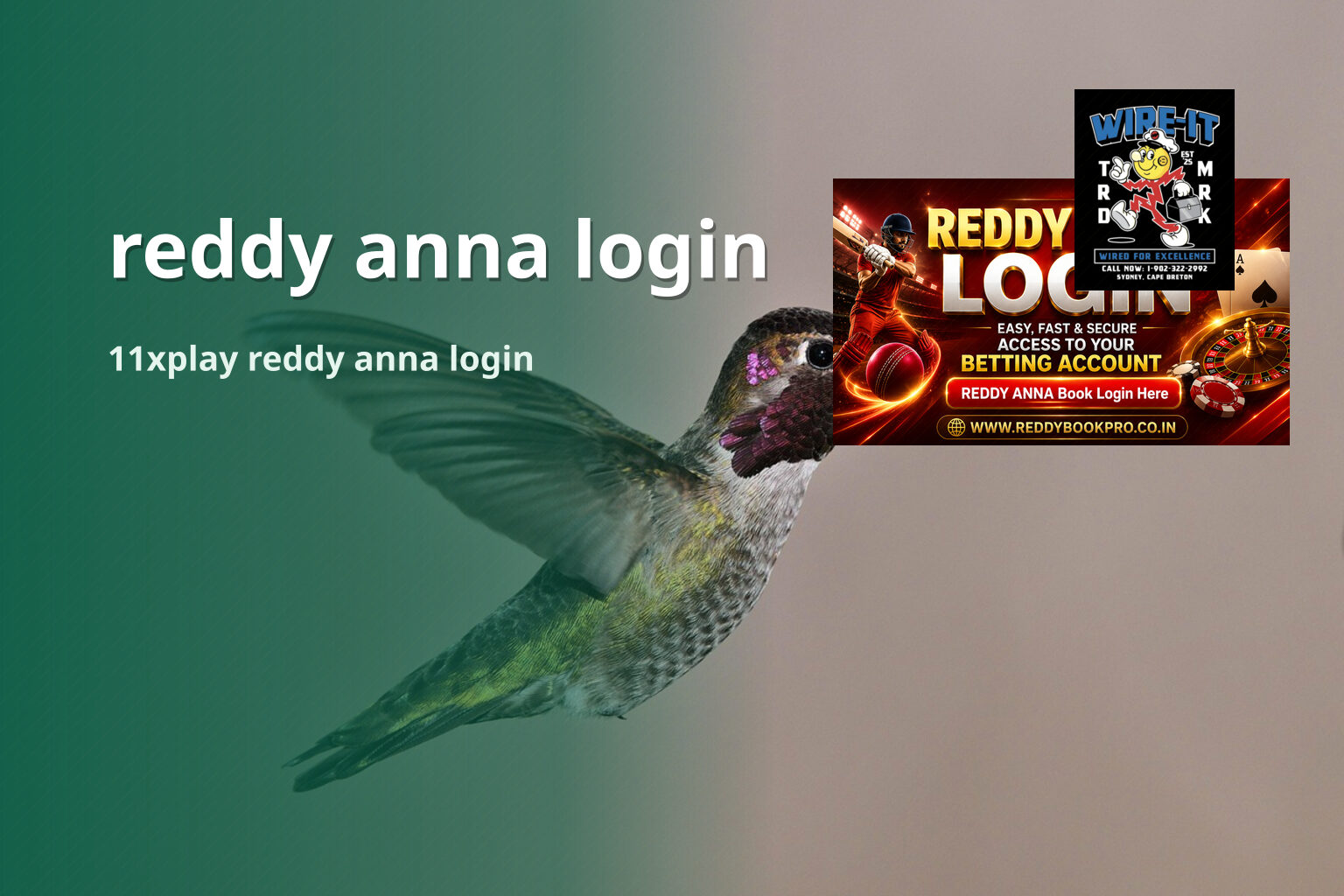 reddy anna login 11xplay reddy anna login