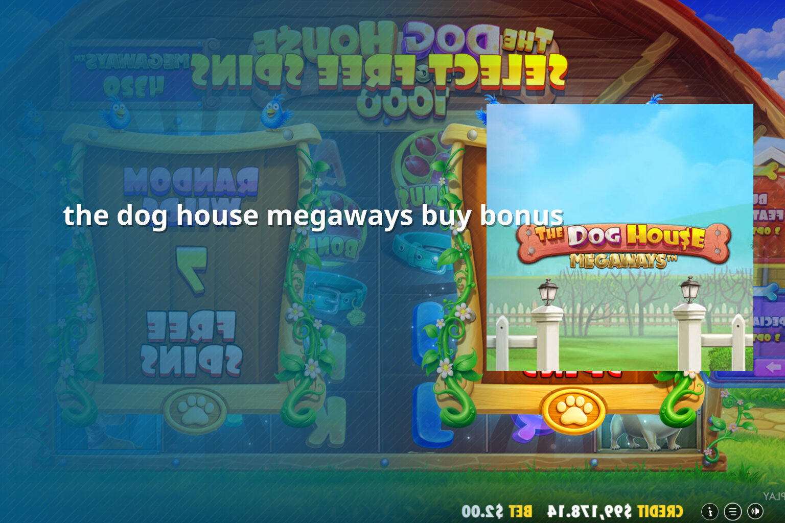 the dog house megaways buy bonus - slots