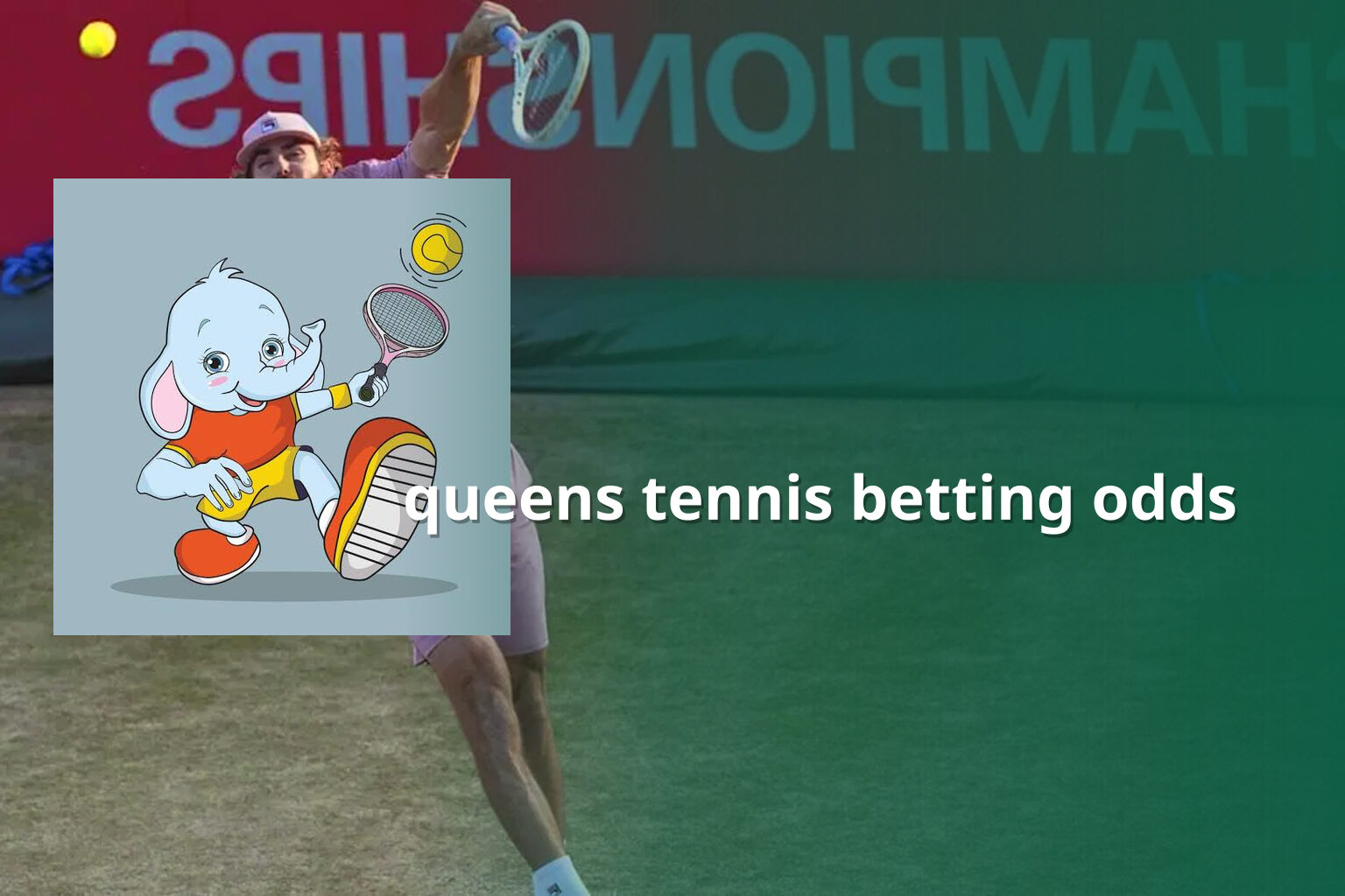 queens tennis betting odds - การพนัน
