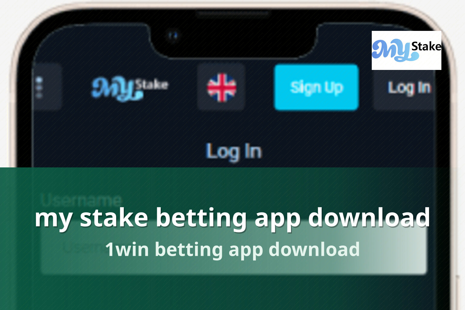 my stake betting app download 1win betting app download