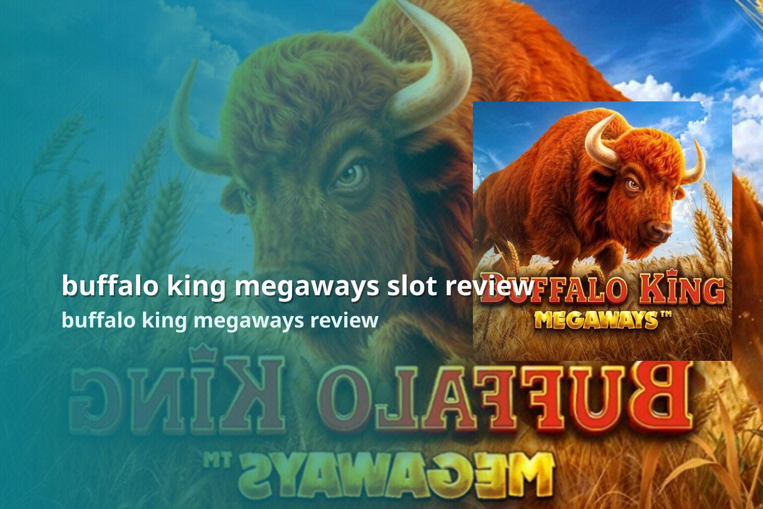 buffalo king megaways slot review buffalo king megaways review