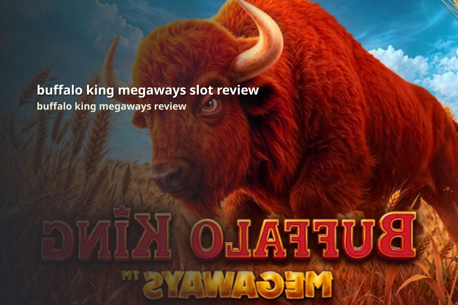 buffalo king megaways slot review - slots