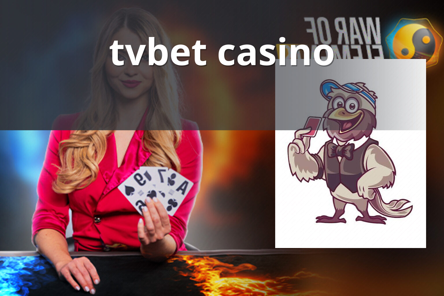 tvbet casino - casino