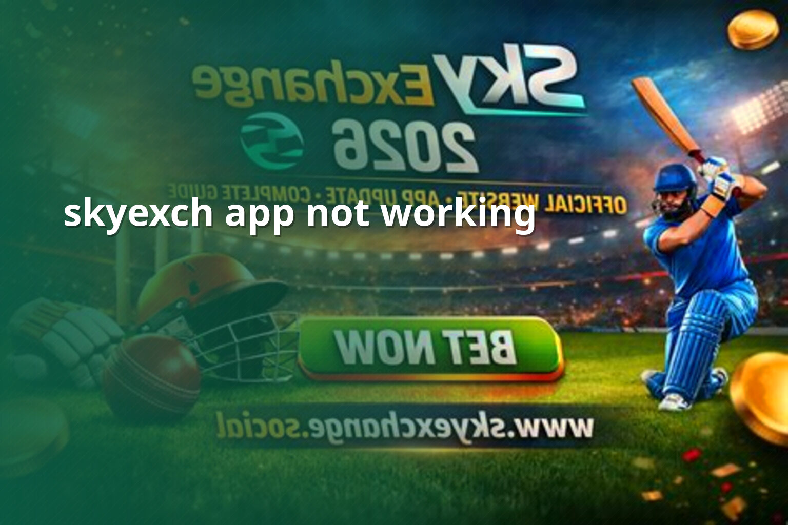 skyexch app not working - gaming_brand