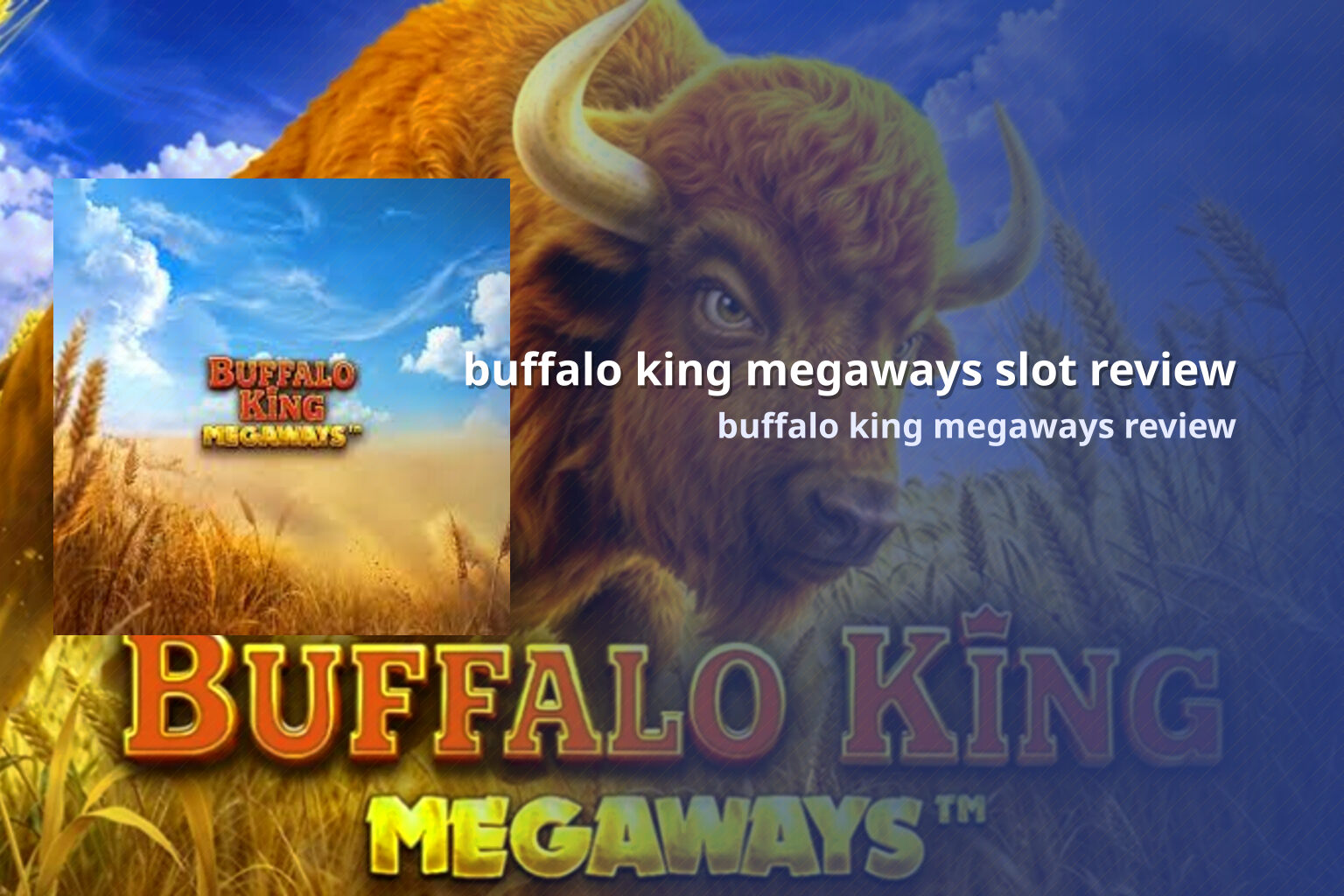 buffalo king megaways slot review buffalo king megaways review
