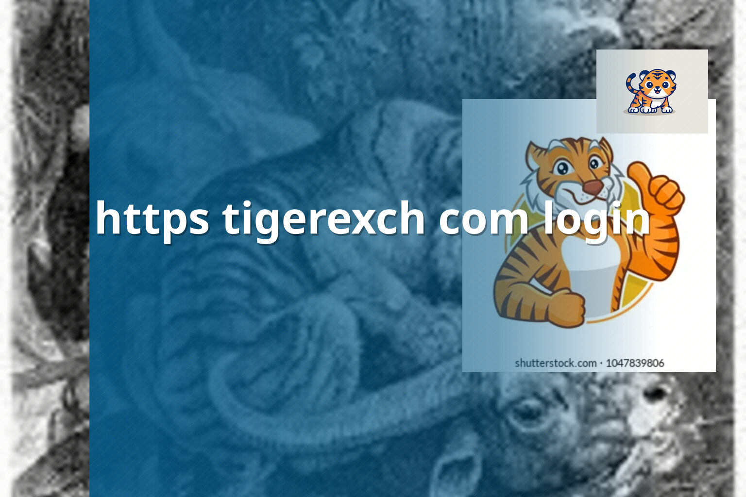https tigerexch com login - gaming_brand