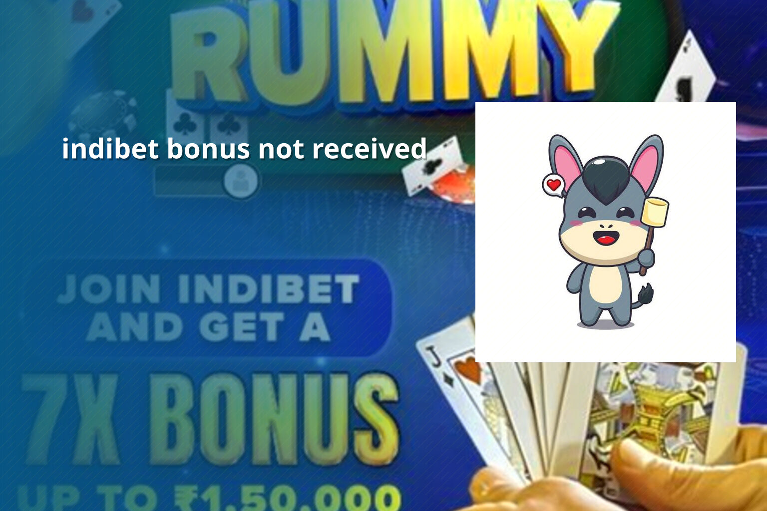 indibet bonus not received - gaming_brand