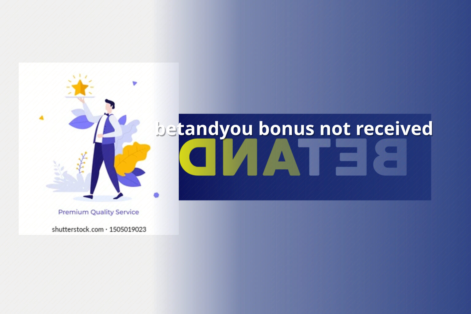 betandyou bonus not received - gaming_brand