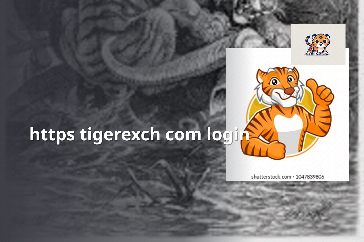 https tigerexch com login - gaming_brand
