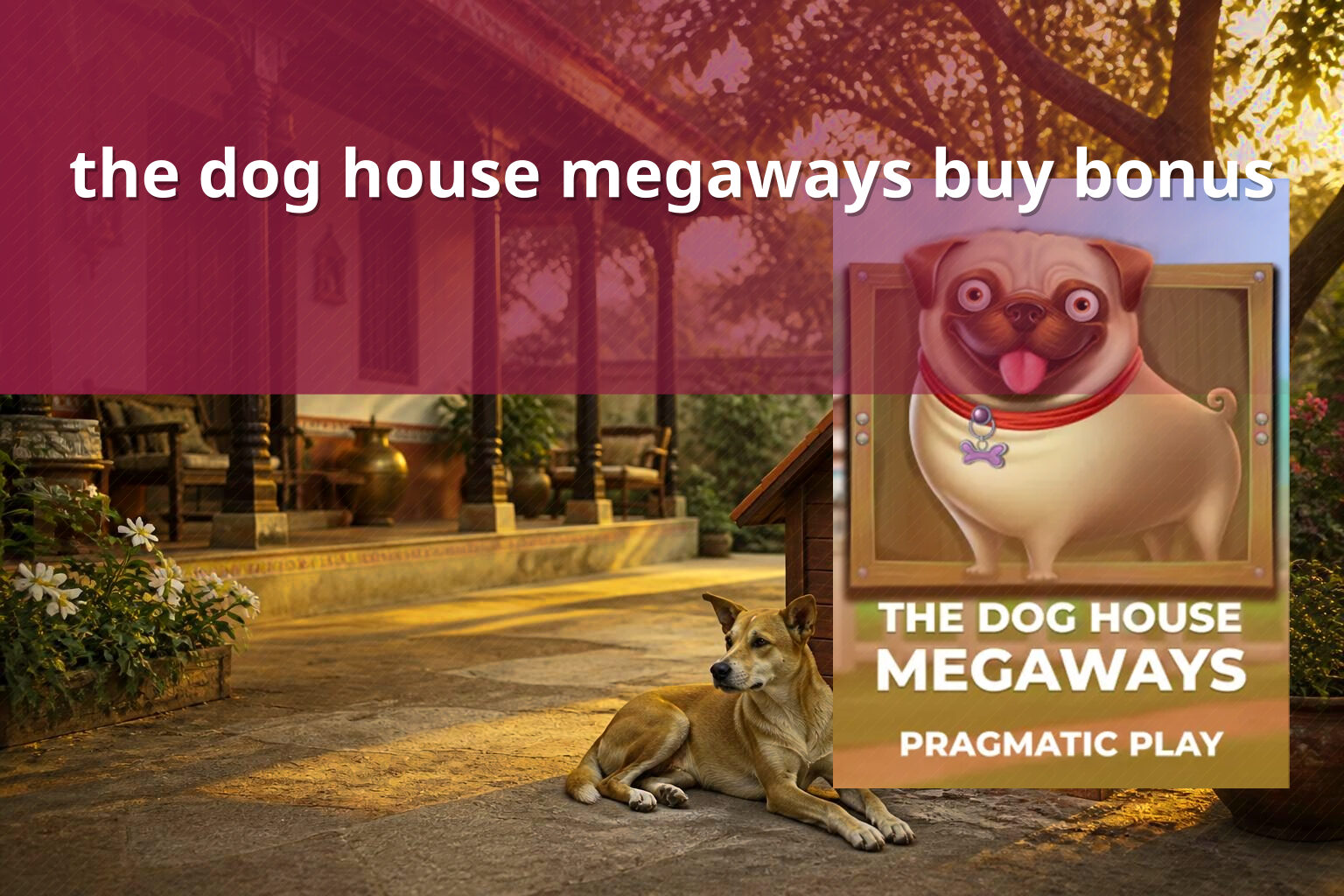 the dog house megaways buy bonus - slots