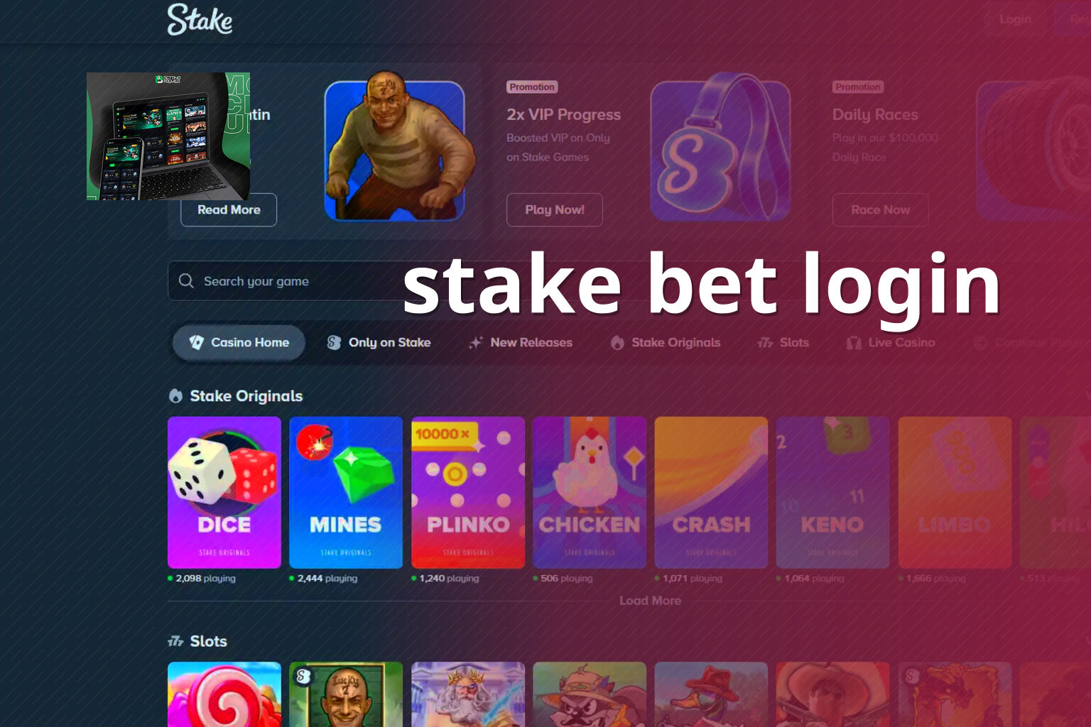 stake bet login - gaming_brand