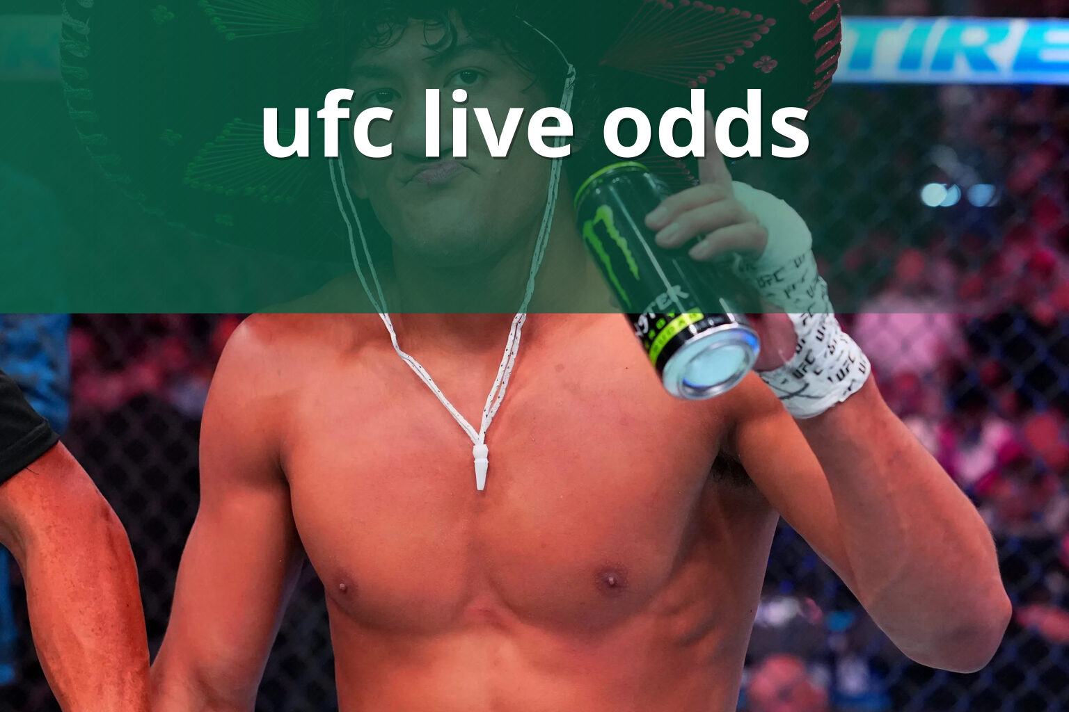 ufc live odds - sportsbook