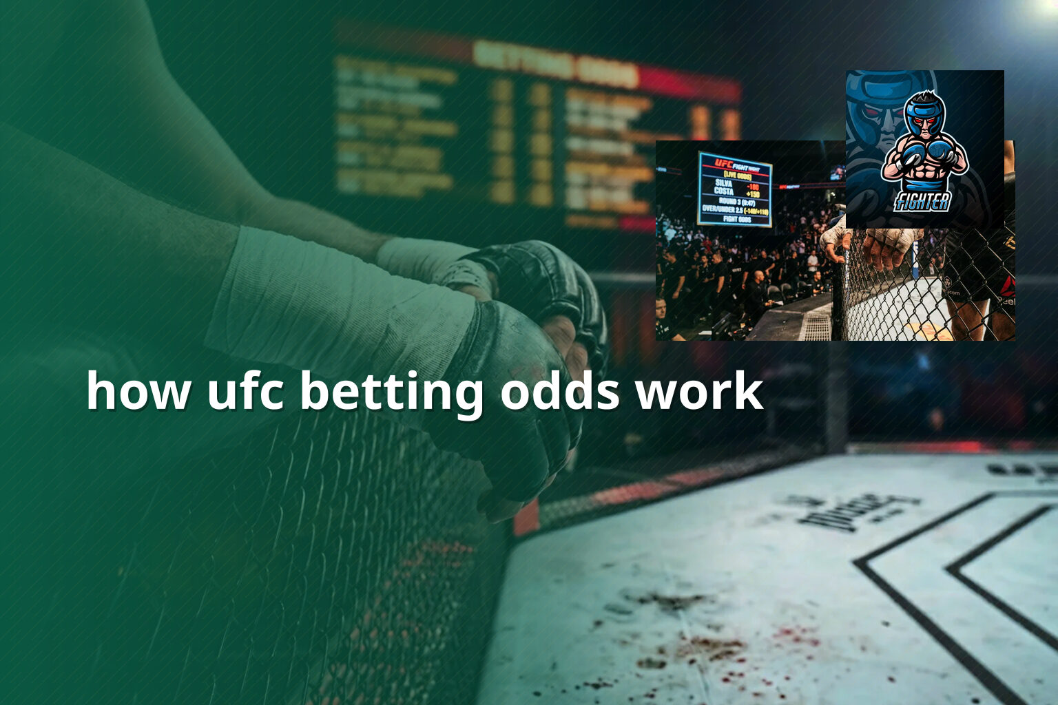 how ufc betting odds work - การพนัน