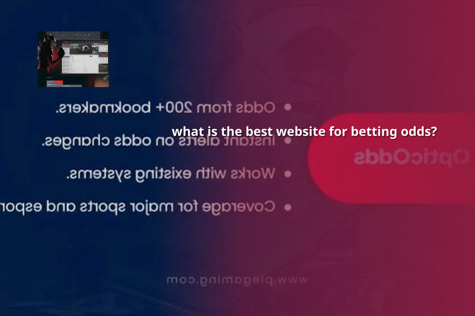 what is the best website for betting odds? - การพนัน