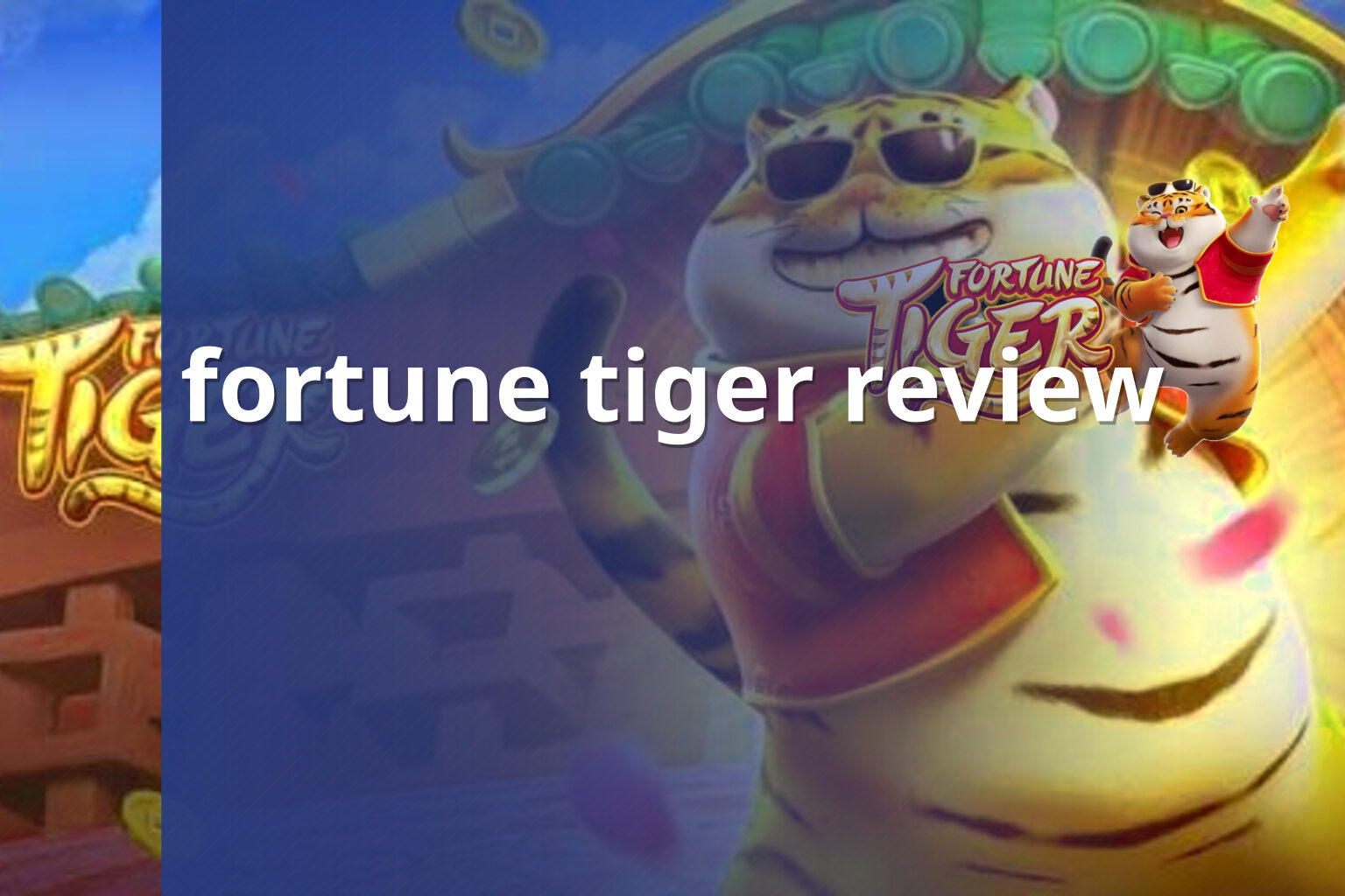 fortune tiger review - slots