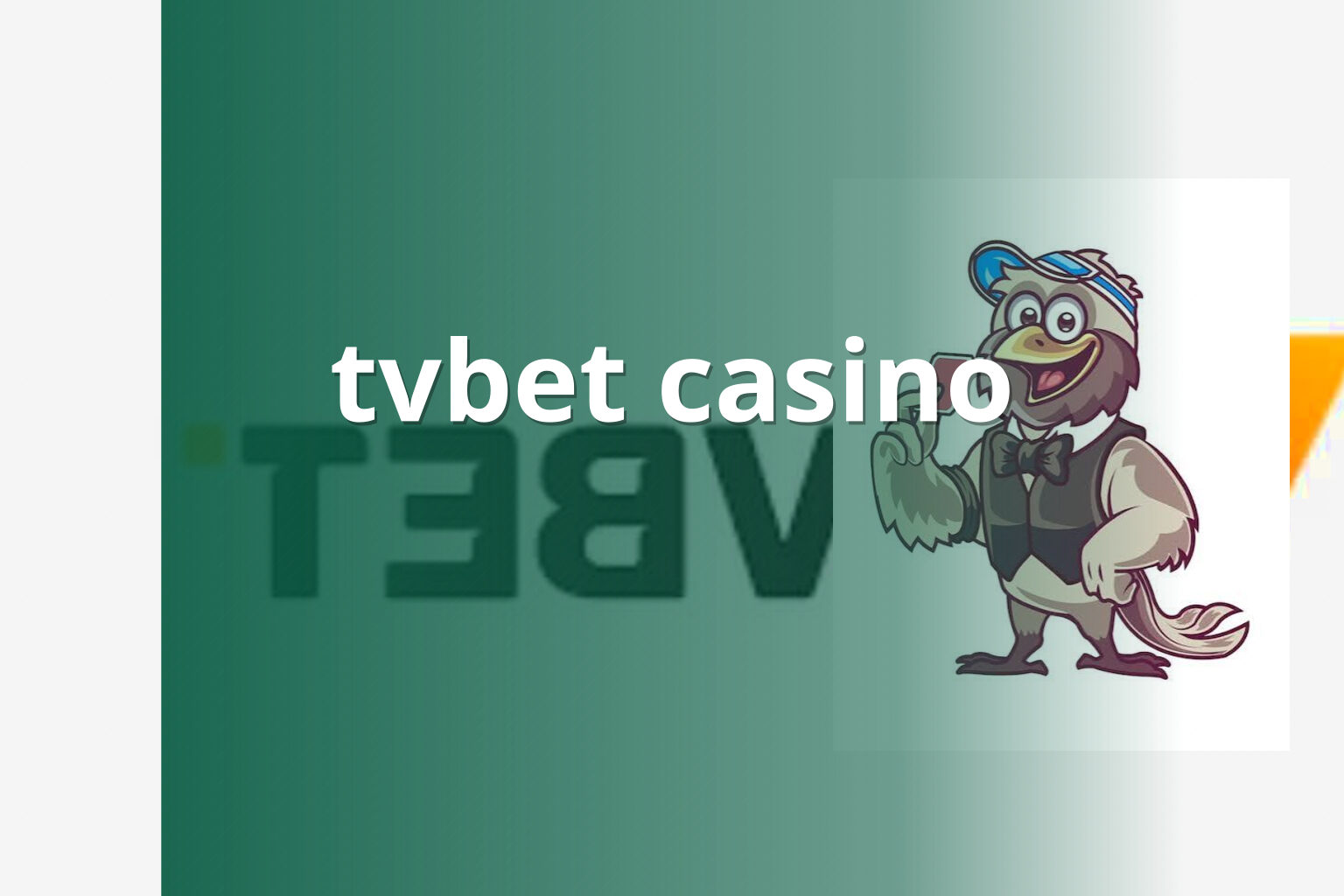 tvbet casino - casino