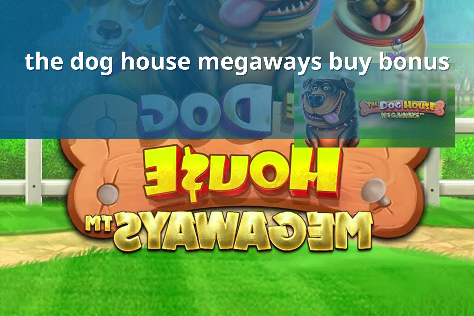 the dog house megaways buy bonus - slots