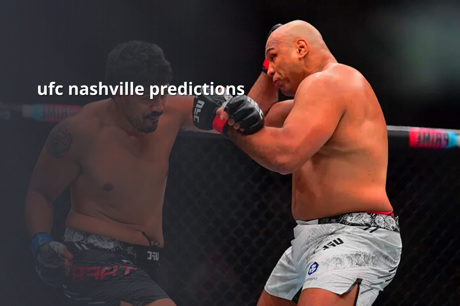 ufc nashville predictions - sportsbook