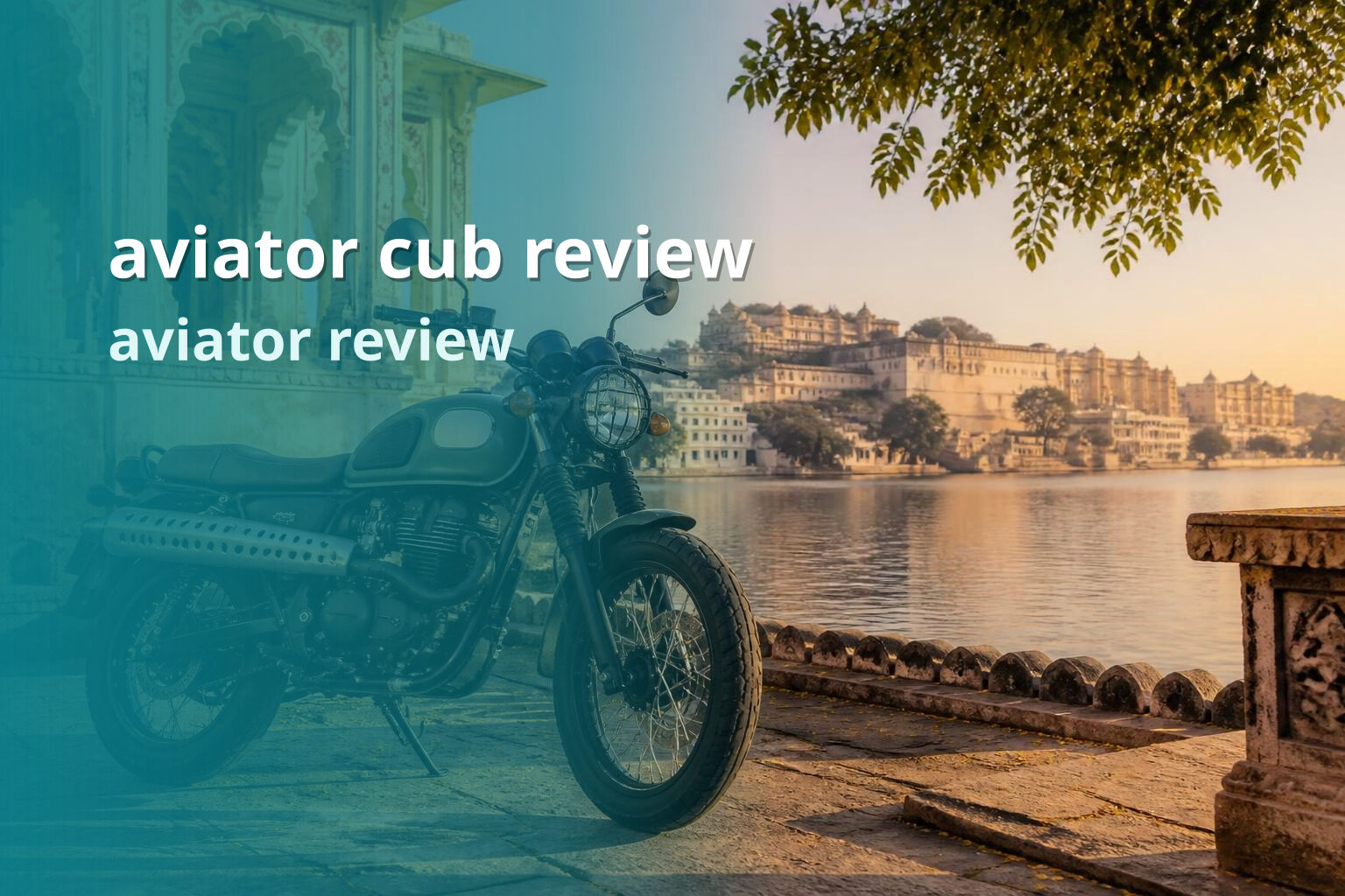 aviator cub review aviator review