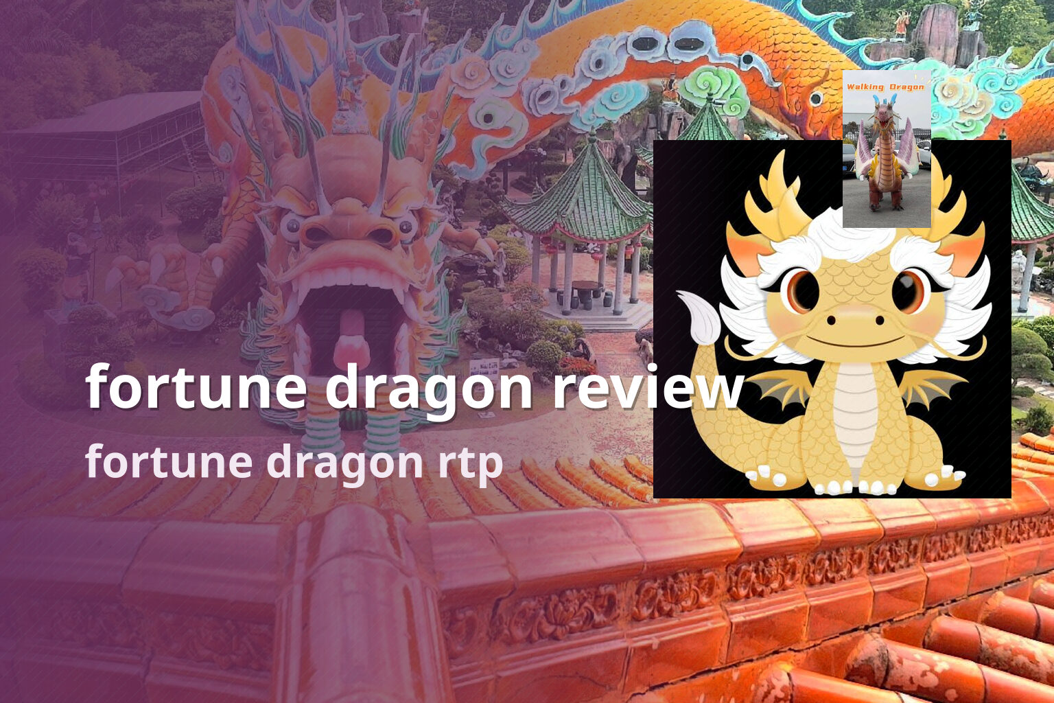 fortune dragon review fortune dragon rtp