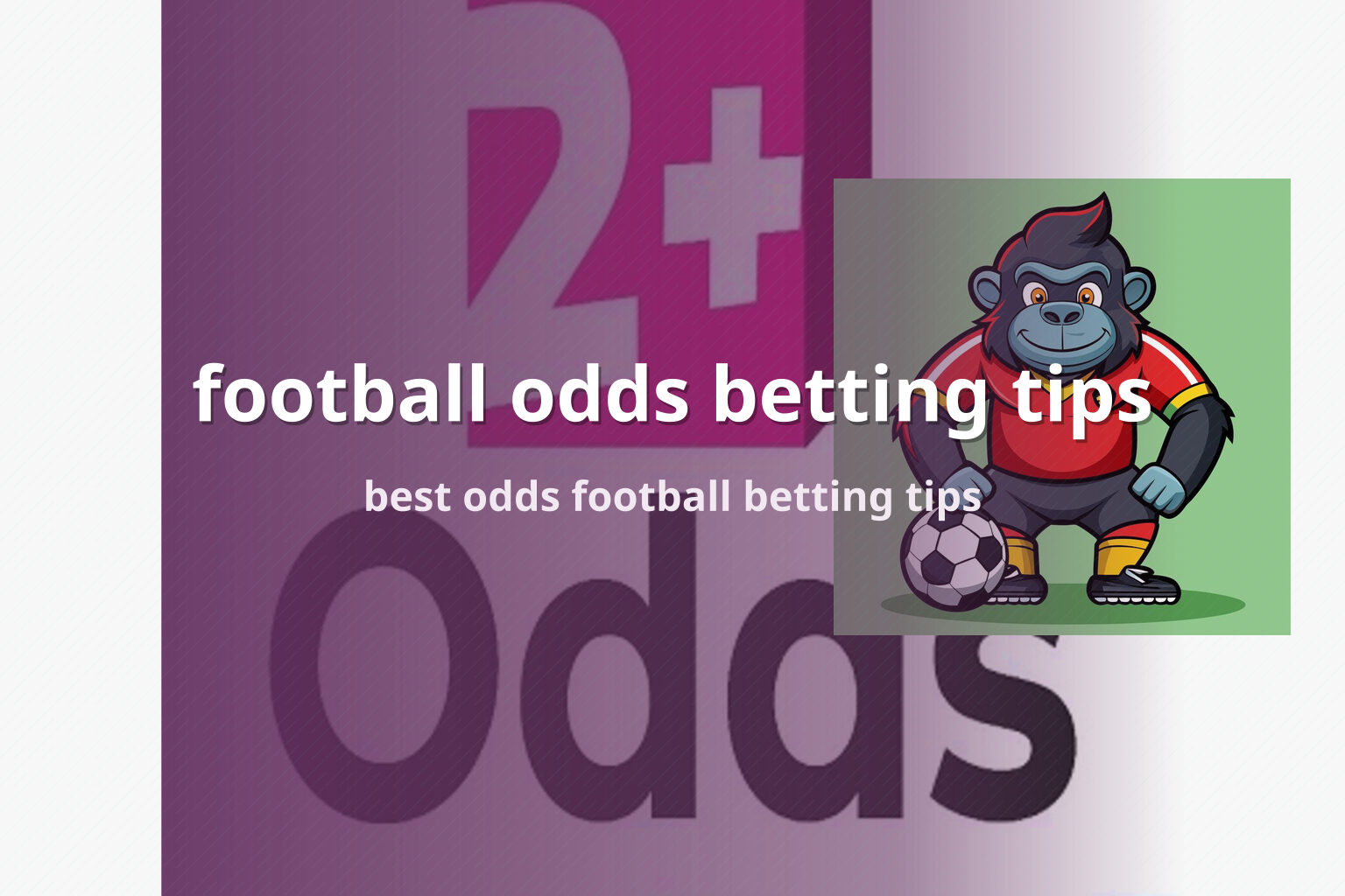 football odds betting tips - sportsbook