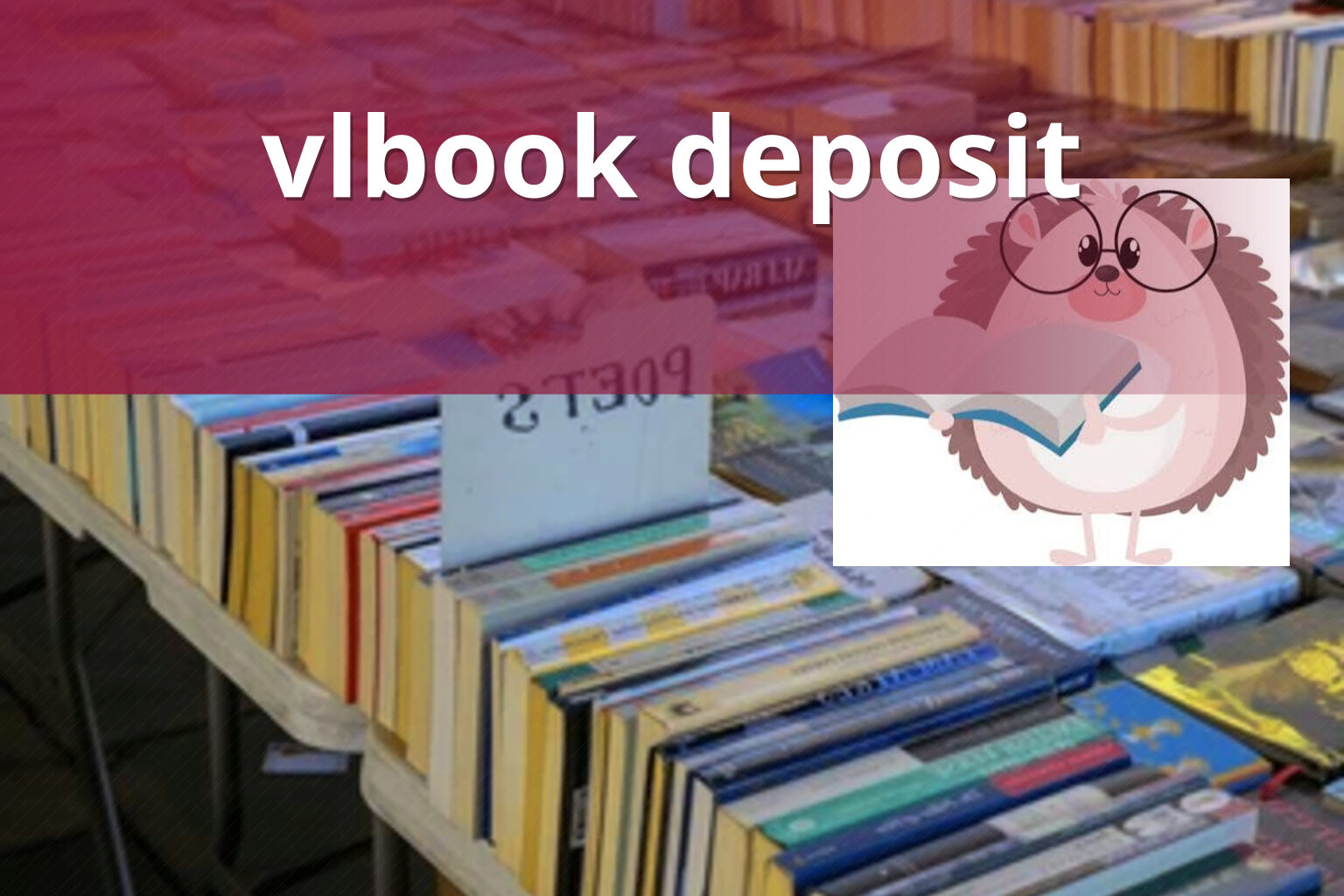 vlbook deposit - gaming_brand