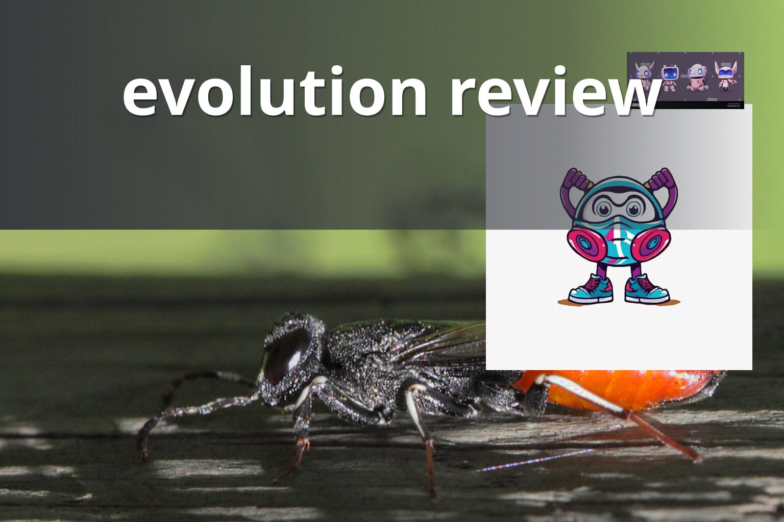 evolution review - gaming_brand