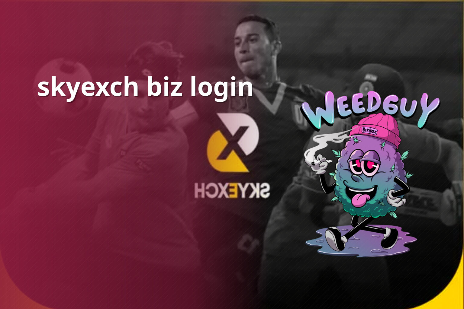 skyexch biz login - gaming_brand